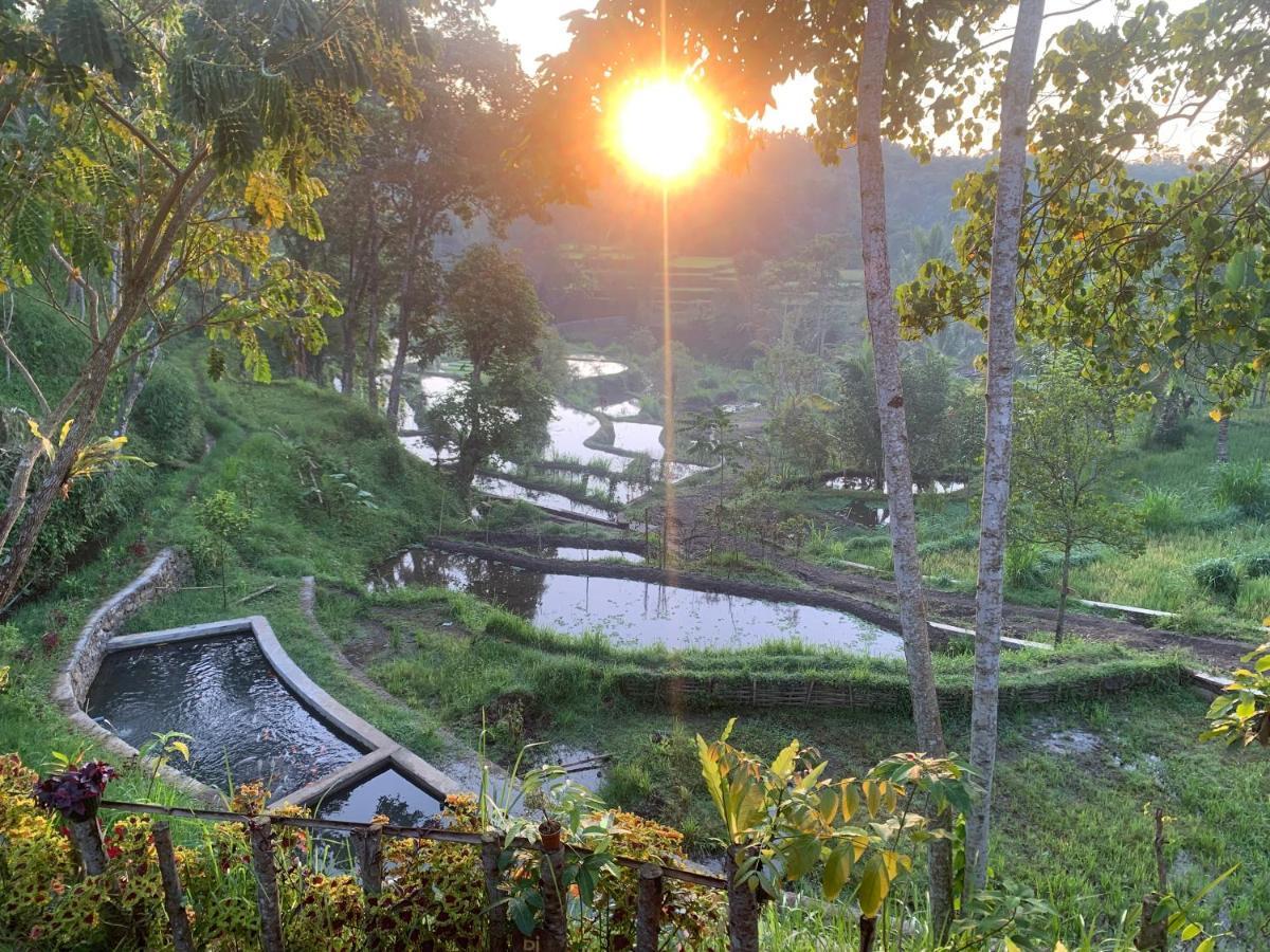 The Alam Tetebatu Bungalow & Restaurant Екстер'єр фото