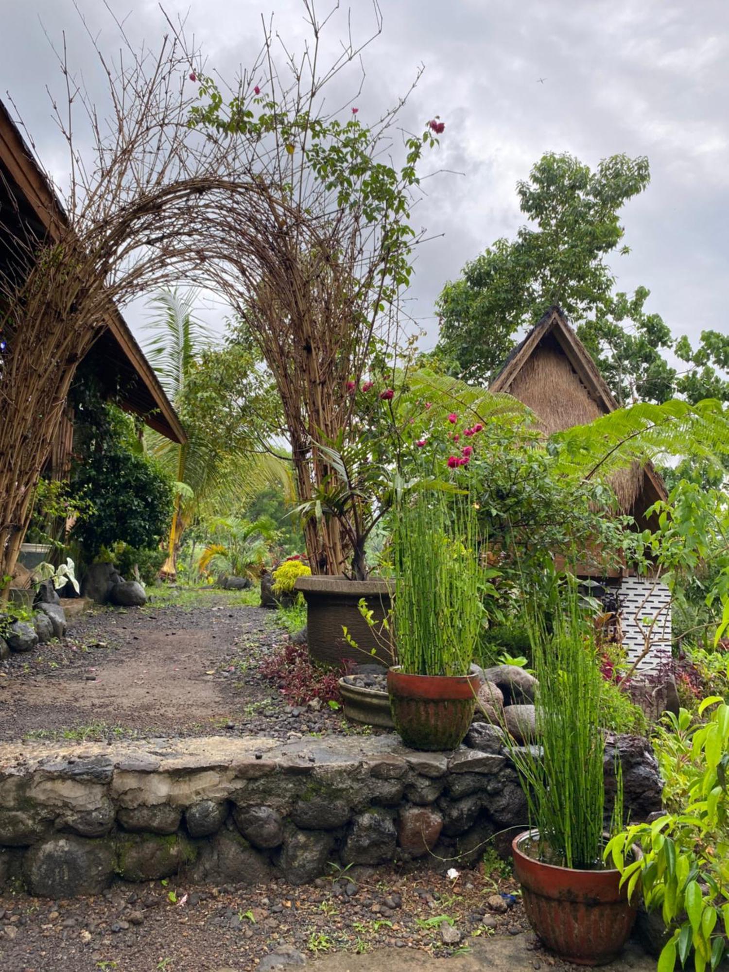 The Alam Tetebatu Bungalow & Restaurant Екстер'єр фото