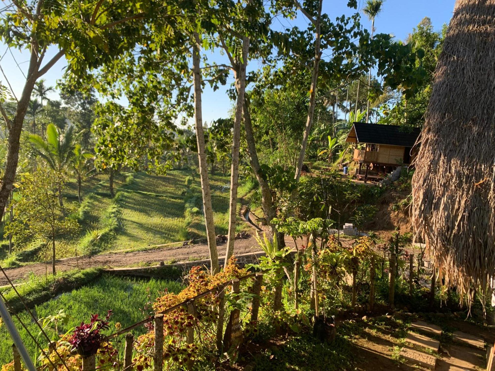 The Alam Tetebatu Bungalow & Restaurant Екстер'єр фото