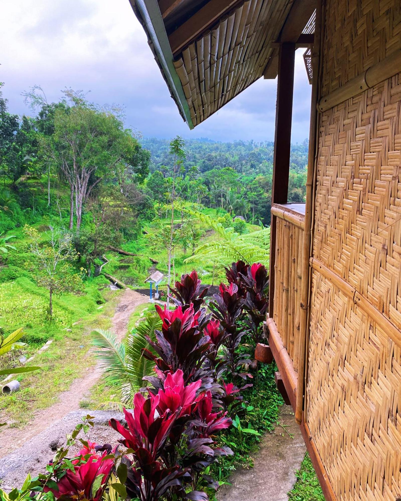 The Alam Tetebatu Bungalow & Restaurant Екстер'єр фото